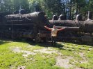 Trains 3.jpg