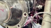 IMG_1682.jpeg