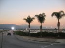 pomona4.jpg