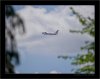 DSC_4647.jpg