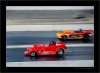 DSC_4819.jpg
