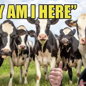 This Ain’t Horsepower…